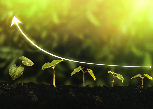 秧苗正在肥沃的土壤中生长。业务增长，利润，农业，发展和成功的概念图片下载