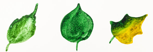 用水彩手绘的三片树叶图片下载