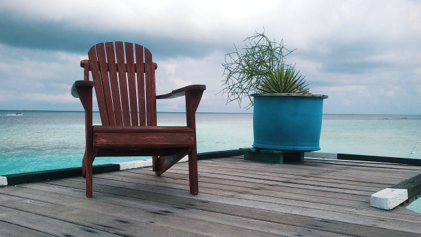 椅子和植物图片下载