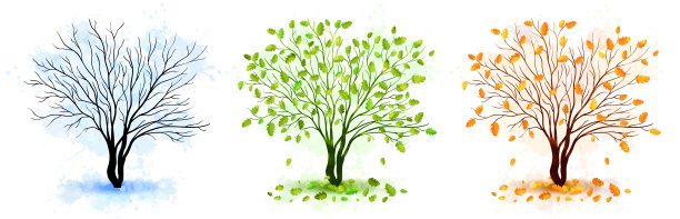 树木四季自然背景。矢量图图片下载