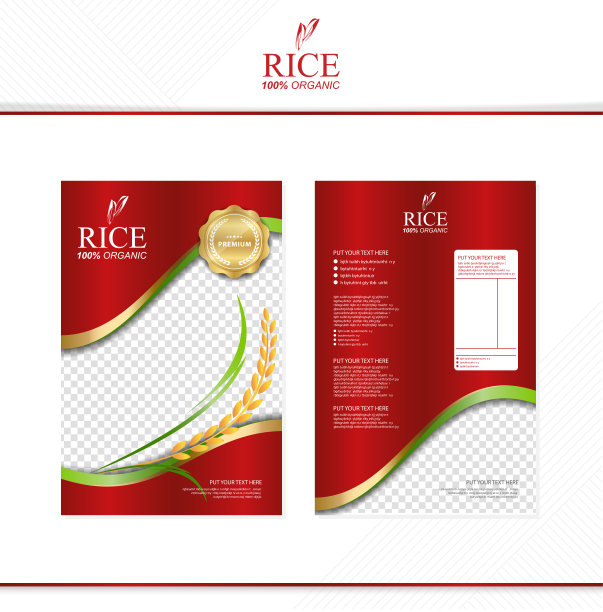 大米食品或泰国食品，横幅和海报模板矢量设计。图片下载