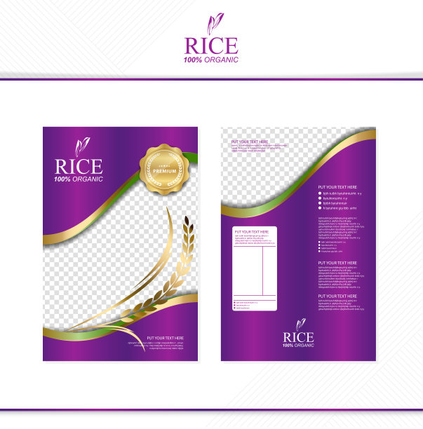 大米食品或泰国食品，横幅和海报模板矢量设计。图片下载