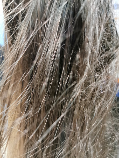 背景上凌乱的棕色头发需要做发型图片下载