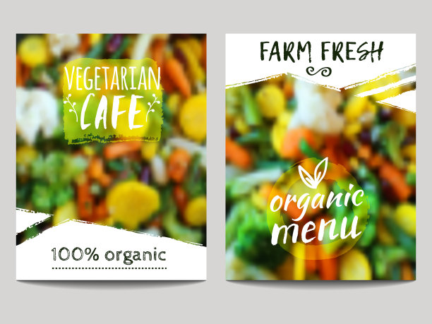 宣传册设计模板与模糊的背景图片下载