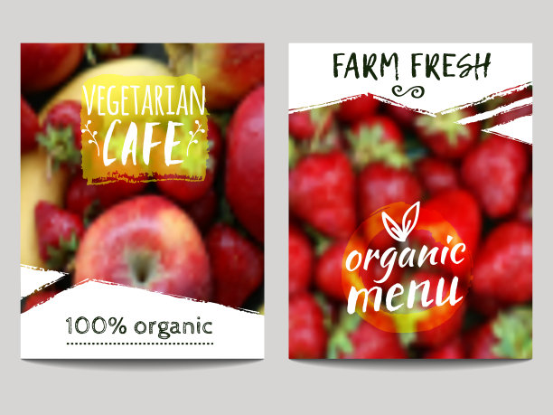 宣传册设计模板与模糊的背景图片下载