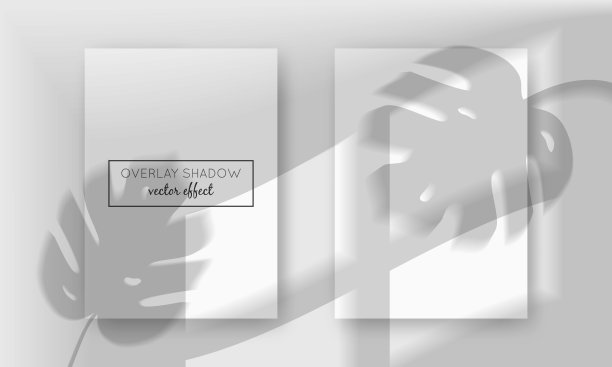 两张a4卡片模型，上面有阴影图片下载