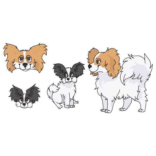 可爱的卡通蝴蝶犬和幼犬品种图片下载