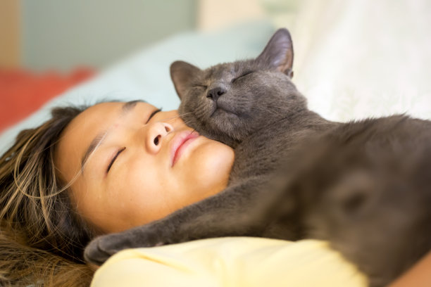 少女抱着她的猫打盹图片下载