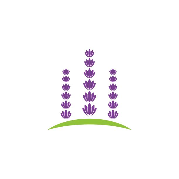薰衣草花矢量图标插图图片下载