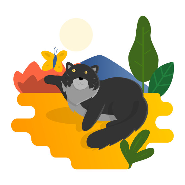 安哥拉波斯猫在户外和蝴蝶玩耍图片下载