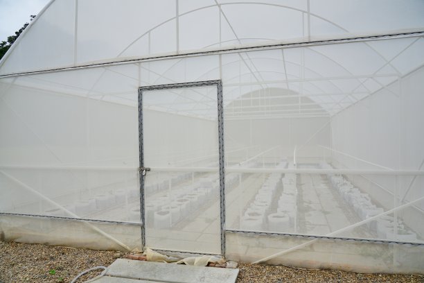 蔬菜生长的房子图片下载