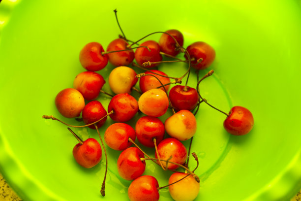 绿色盘子里的成熟樱桃，又红又黄图片下载