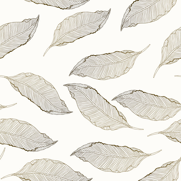 白色背景上的金色棕榈叶图片下载