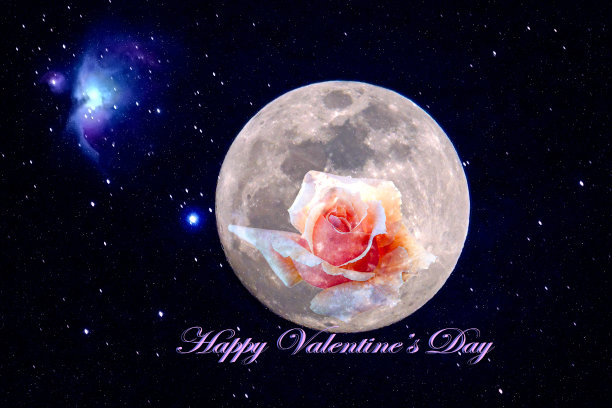 玫瑰花瓣，以柔和的风格作背景图片下载