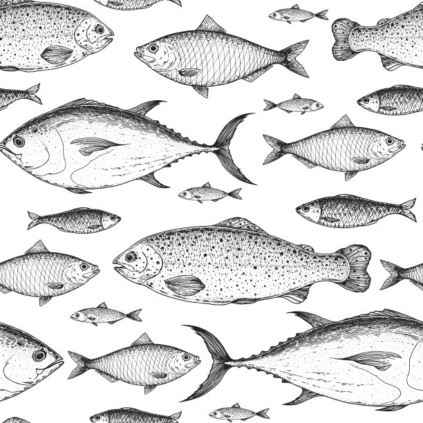 鱼类无缝图案：手绘海鲜菜单矢量插画，虹鳟鱼金枪鱼鲱鱼素描图片下载