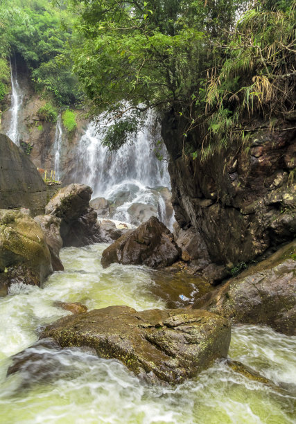 雨林中的瀑布图片下载