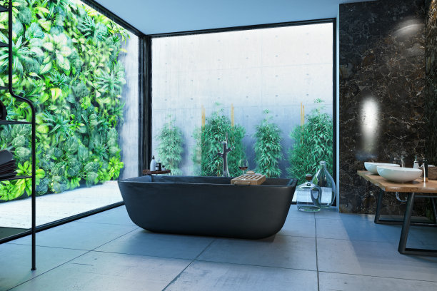 现代现代水疗浴室与自然景观图片下载