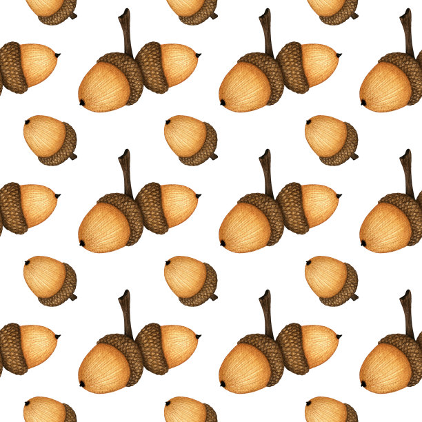 水彩秋天无缝图案与棕色橡子，橡树部分。手绘的秋季自然背景设计图片下载