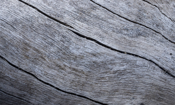 风化的木纹特写照片。有风化裂缝的灰色木材。复古设计的自然背景图片下载