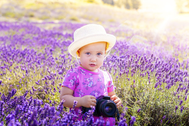 带着相机的小女孩在薰衣草地里。图片下载