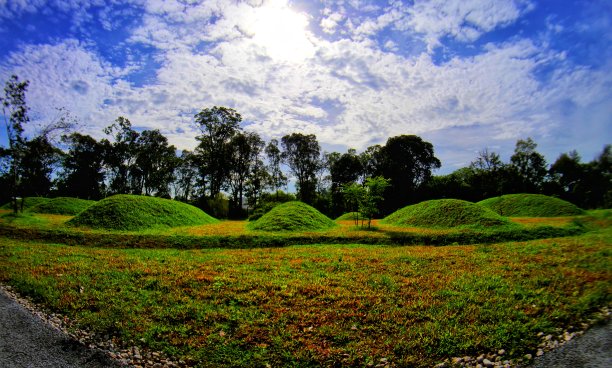蓝天绿草图片下载