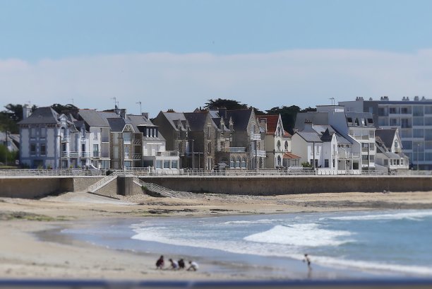 夏天的乐趣图片下载