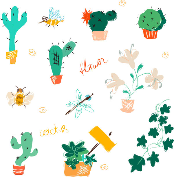 套上鲜艳可爱的盛开仙人掌图片下载