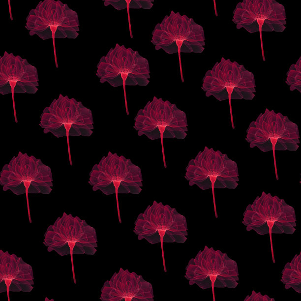 无缝透明的花图片下载