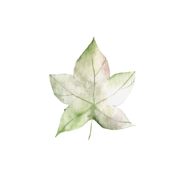 秋天在白色的背景上留下了一幅水彩画。说明秋天图片下载