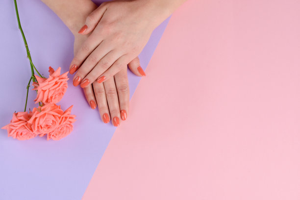 精心打扮的女人的手和桃花在粉红色的背景图片下载