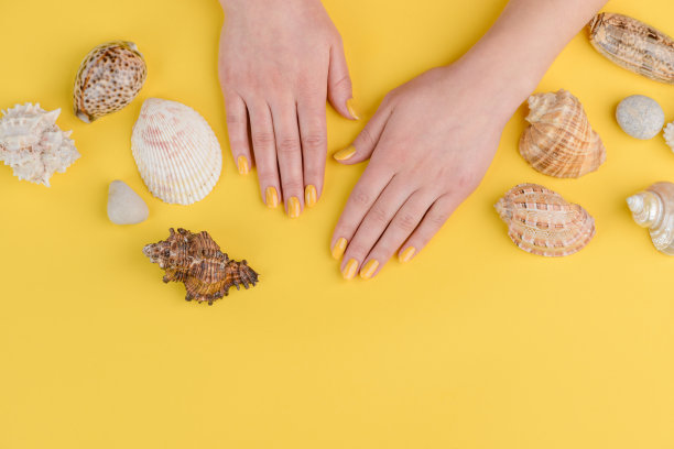 黄色背景上的女人的手和贝壳图片下载