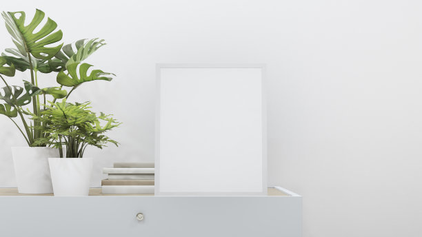 植物在花盆附近的空画框。图片下载