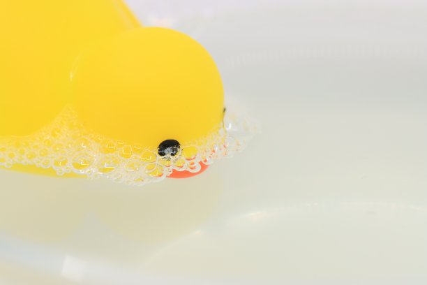 各种各样的沐浴玩具图片下载