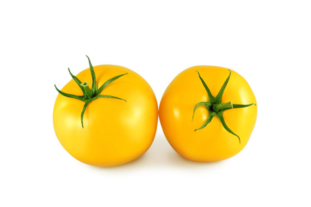 黄西红柿孤立图片下载