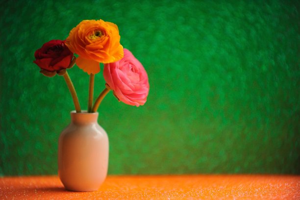 静物，花瓶里的花图片下载