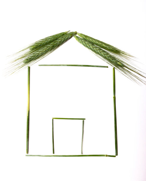 用大麦制作的房子图片下载