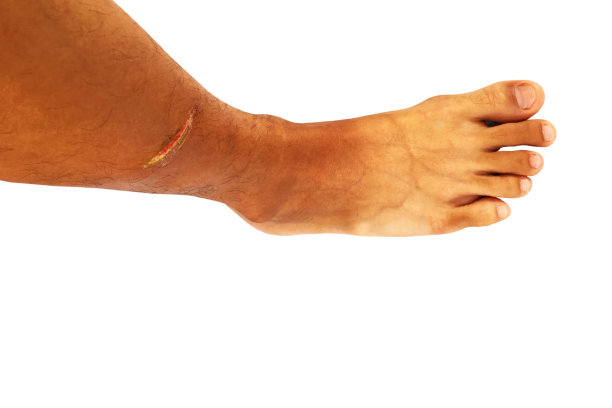 人的手和动词图片下载