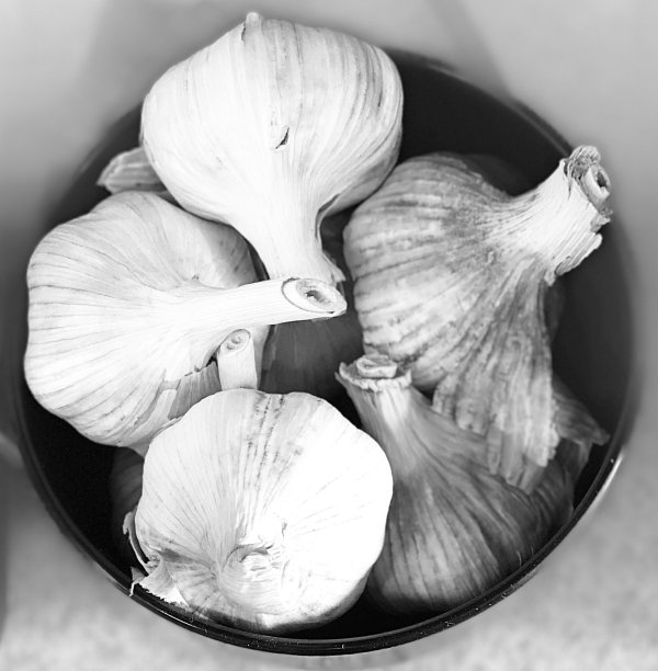 jar的大蒜图片下载