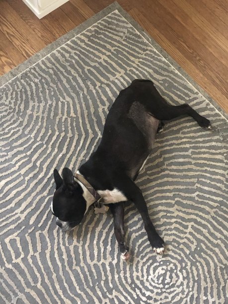 到处都是床图片下载