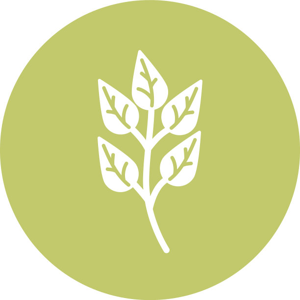 绿色的叶子块和平面风格的图标图片下载