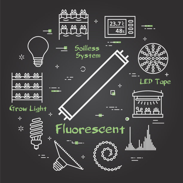 黑概念水培和生长领跑图片下载