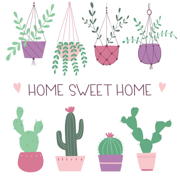 甜蜜的家。一套室内植物和仙人掌。手绘插图在斯堪的纳维亚风格。图片下载