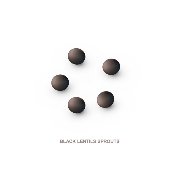 健康饮食的现实黑扁豆。3 d渲染。白色背景上的栅格插图图片下载