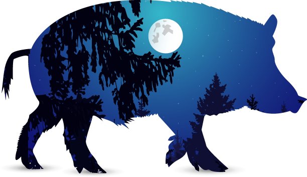 轮廓的野猪图片下载