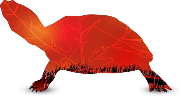 轮廓的乌龟图片下载