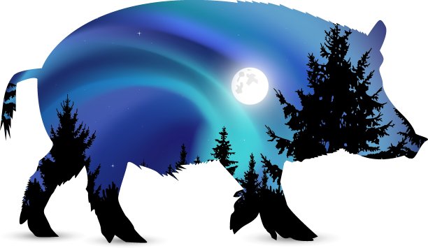 轮廓的野猪图片下载