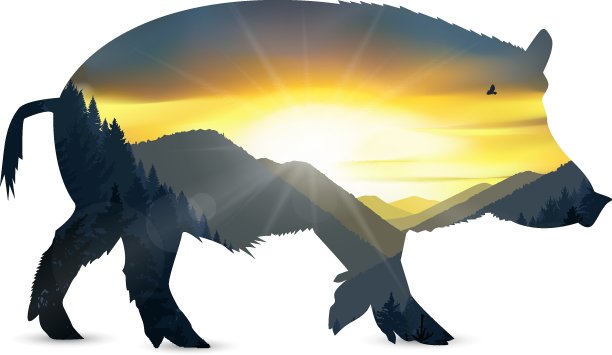 轮廓的野猪图片下载