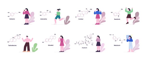 激素及其对字符集的影响。满意的快乐由于多巴胺加速反射帮助肾上腺素。图片下载