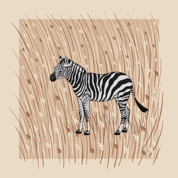 米色衣服上的卡通斑马图片下载