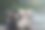 在一扇湿窗的背景上有两只猫在恋爱。图片下载
